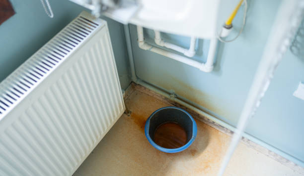 Best 24-hour water damage restoration  in Crosspointe, VA