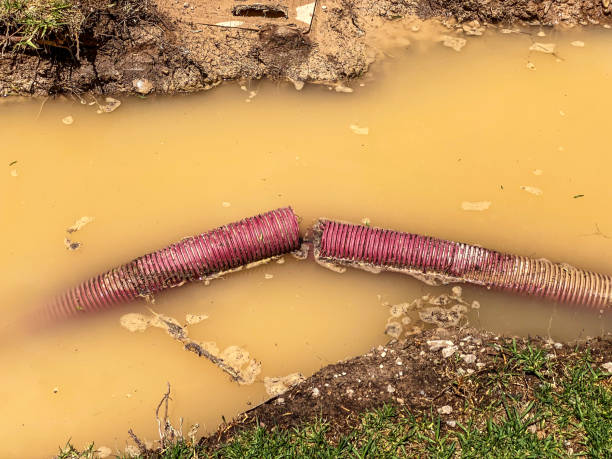 Sewage cleanup and water damage restoration in Crosspointe, VA
