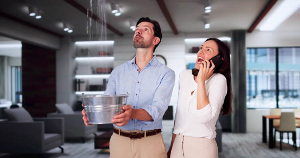 Best Professional water damage repair  in Crosspointe, VA